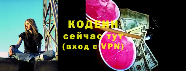 сатива Новозыбков