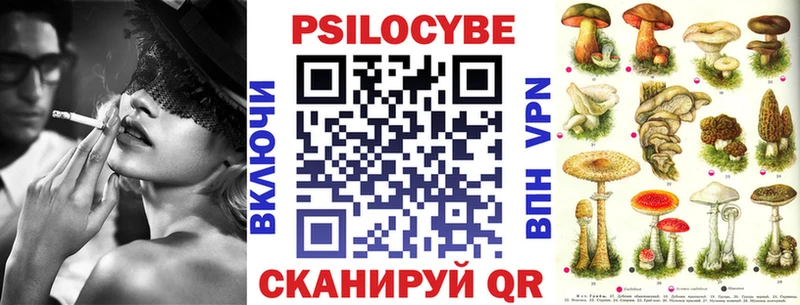 Псилоцибиновые грибы GOLDEN TEACHER  где продают наркотики  hydra ONION  Кувандык 